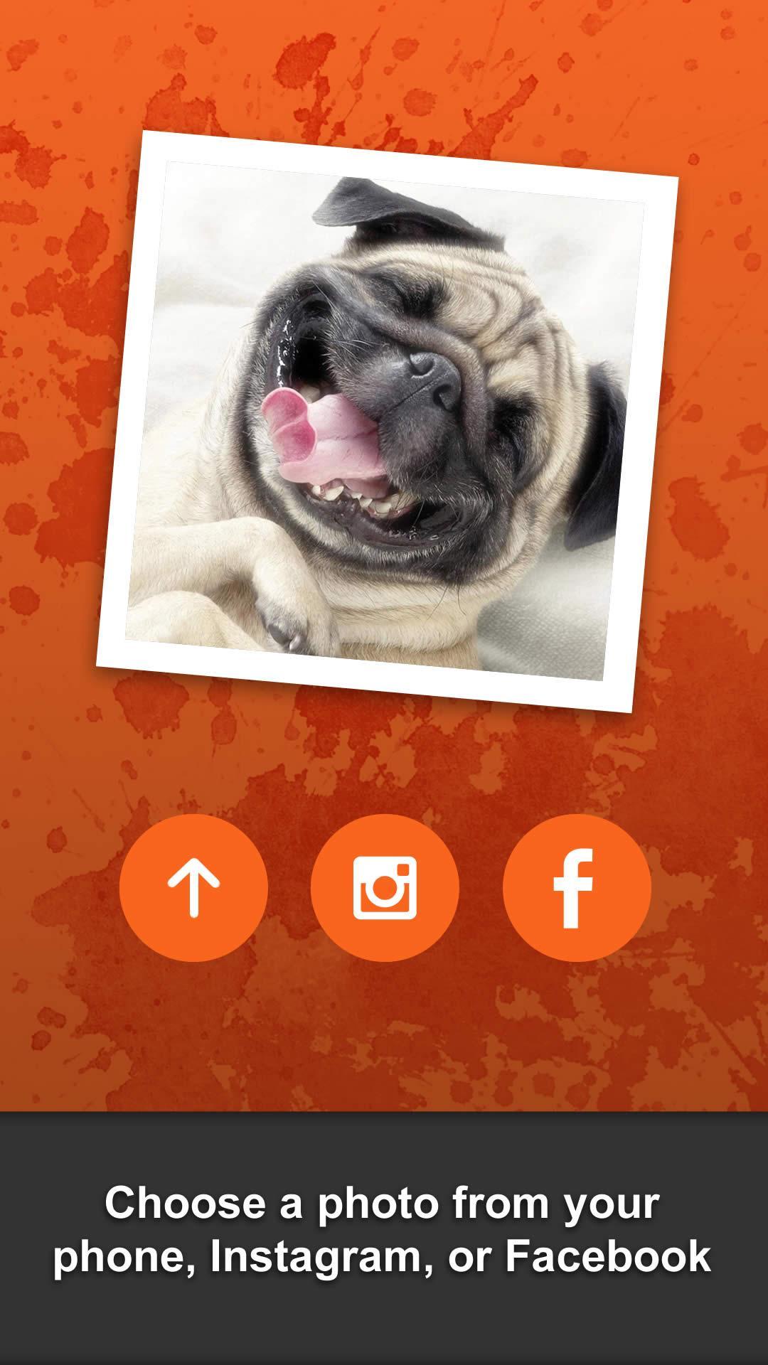 Custom Ping Pong Paddle Editor