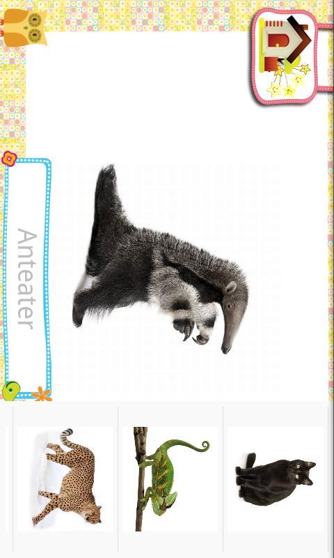 Toddlers Flashcard Playtime