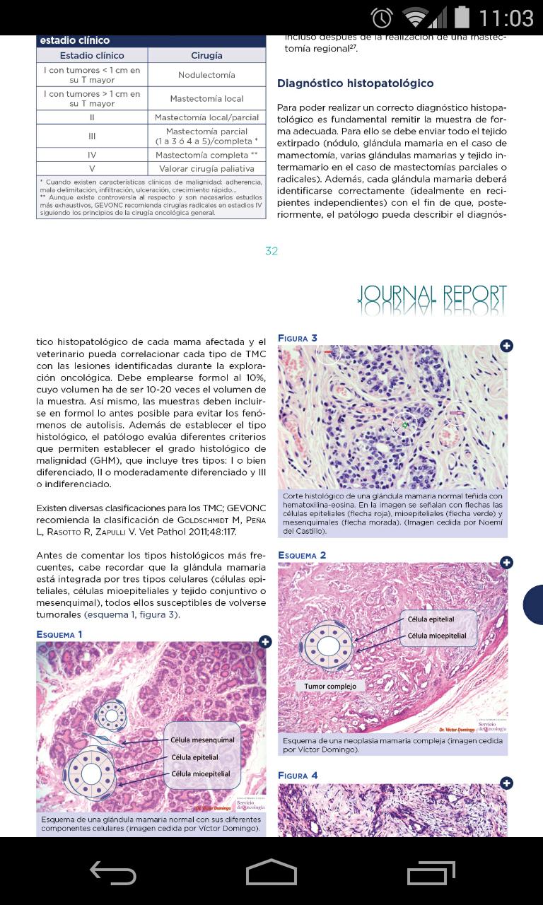 Merial Journal Report 2014
