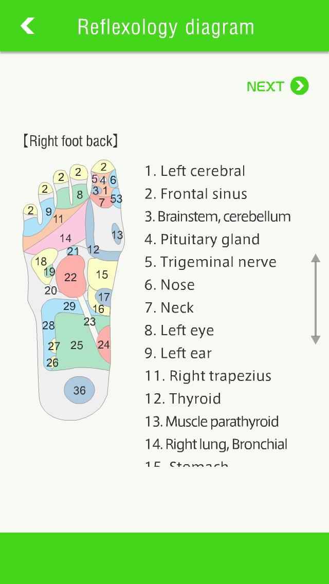 Reflexology
