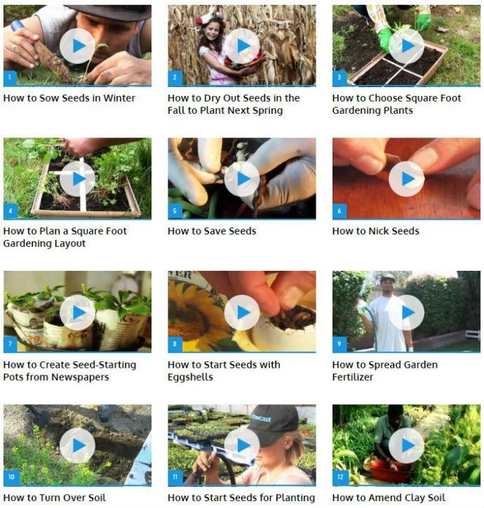 Seeds - Planting (Guide)