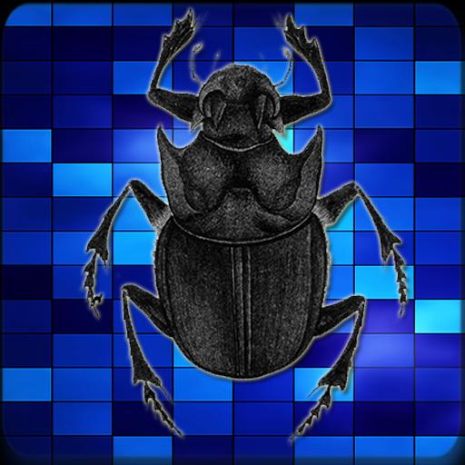 Entomology Insects Identific