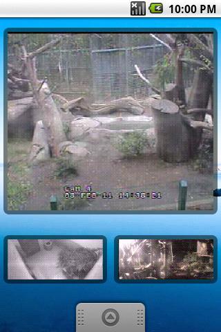 WebLiveWallpaper BETA