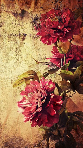 Vintage Roses Live Wallpaper