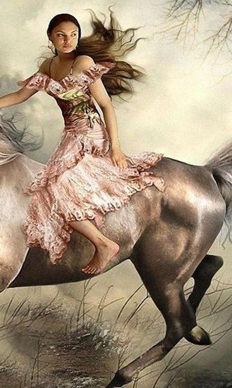 Wild horse wallpapers