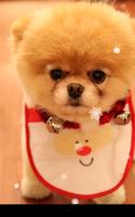 Xmas Puppy Live Wallpaper