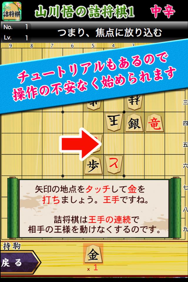 Shogi Problem of Yamakawa