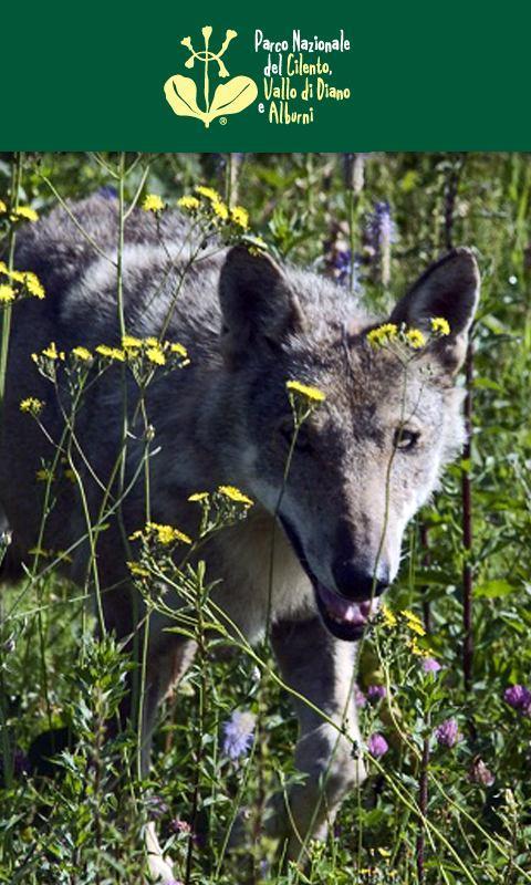 Cilento National Park (Beta)