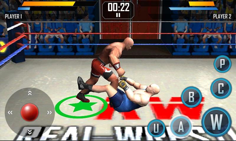 Real Wrestling 3D