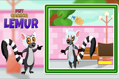 Pet Caring Lemur