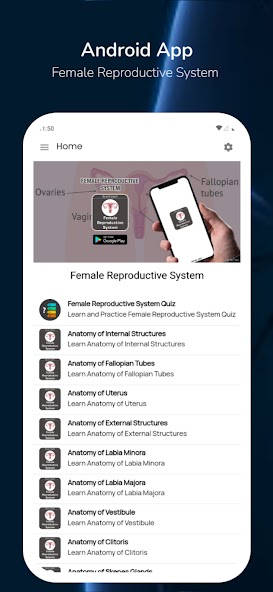 Female Reproductive System