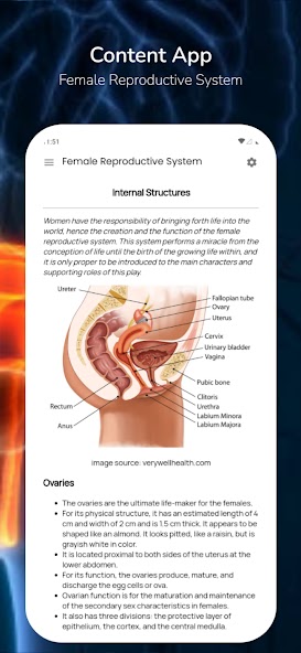 Female Reproductive System