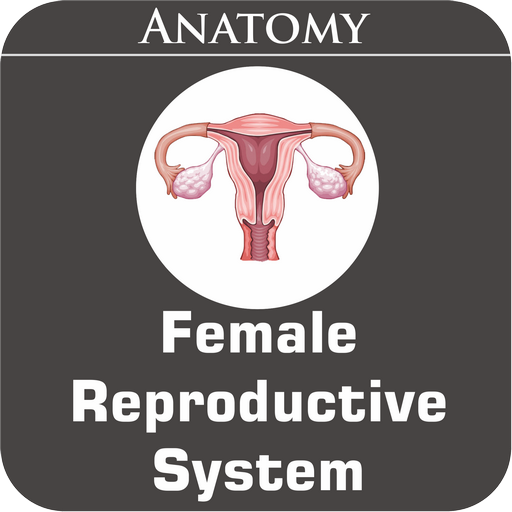 Female Reproductive System