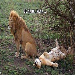 Imagenes con memes y chistes